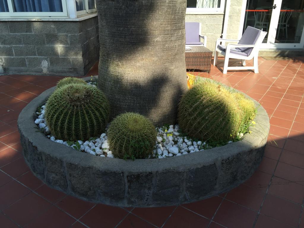Hotel Villa Al Parco Forio di Ischia Екстериор снимка